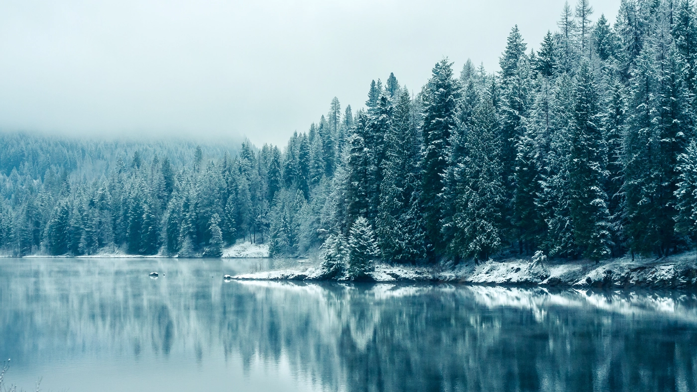 лес, озеро, природа, зима, снег, лед, белые, серые
