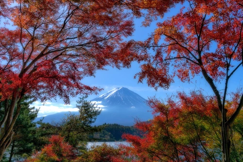 Япония, горы, осень, гора, Фудзи, деревья, ветви,